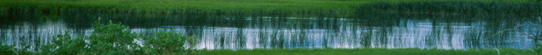 BannerMH